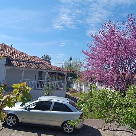 Vasiliki'S Guest House Vergia المظهر الخارجي الصورة