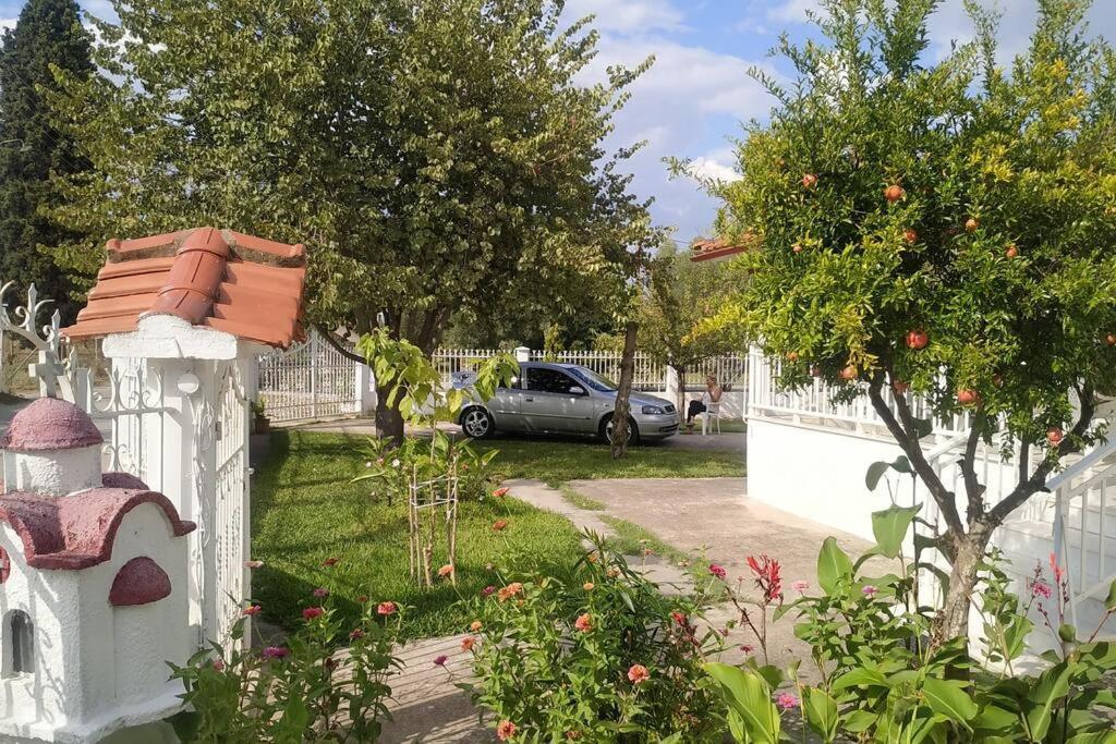 Vasiliki'S Guest House Vergia المظهر الخارجي الصورة