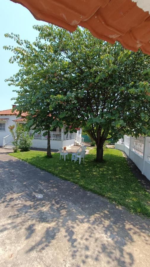 Vasiliki'S Guest House Vergia المظهر الخارجي الصورة